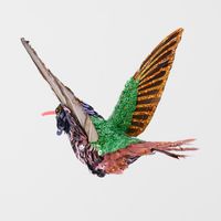 Amore Sequin Hummingbird Tree Decoration