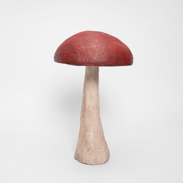 Woodland Mushroom Medium