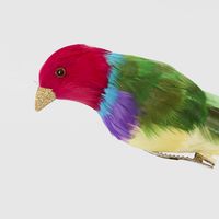 Red Headed Finch