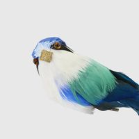 Little Kingfisher