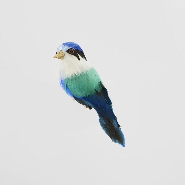 Little Kingfisher