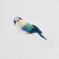 Little Kingfisher