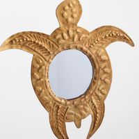 Turtle Mirror