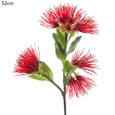 Protea Leucospermum 52cm Red