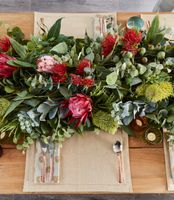 Protea Leucospermum 52cm Red