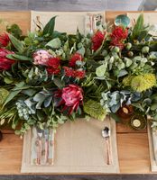 Protea Leucospermum 52cm Red