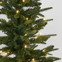 Slim Pine Tree 180cm With 200 LED