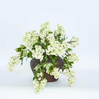 Landis Classic Medium Vase Earth Brown