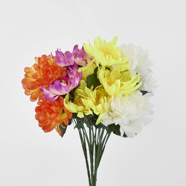 Waterlily Bush Asstd Box of 60