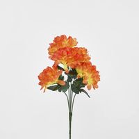 Waterlily Bush Asstd Box of 60