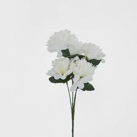 Waterlily Bush Asstd Box of 60