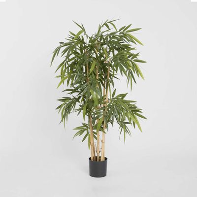 Bamboo Tree 1.2m