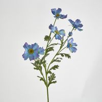 Cosmos Spray 85cm Blue