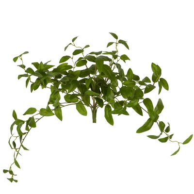 Olive Leaf Hanging Bush Green