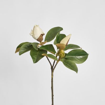 Magnolia Bud 60cm White