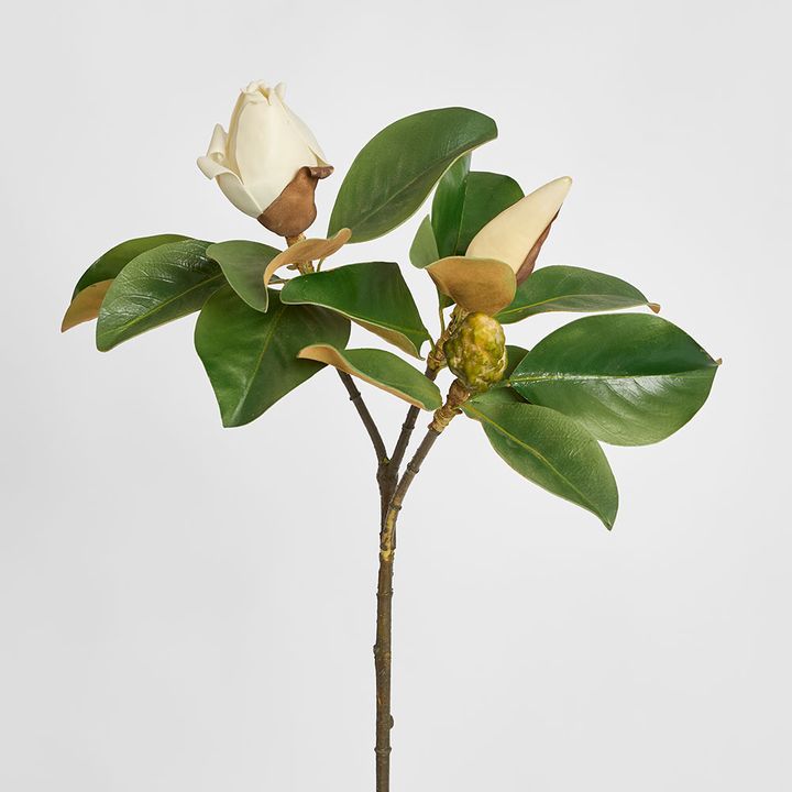 Magnolia Bud 60cm White