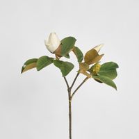 Magnolia Bud 60cm White