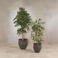 Landis Large Planter Set 2 Earth Brown