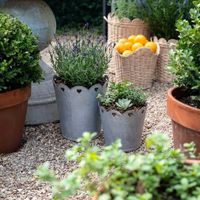 Scalloped Planter With Hearts Set of Two