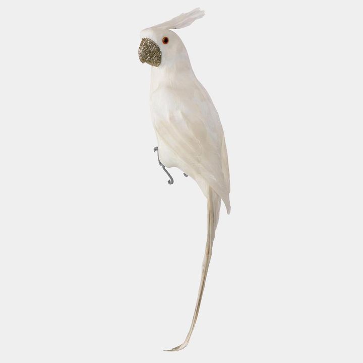 Crawford Glitter Beak Parrot White