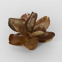 Luxe Metallic Clip On Magnolia Flower Old Gold