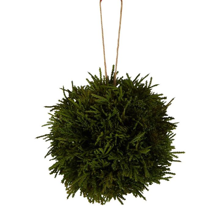 Cypress Hanging Ball Green 15cm