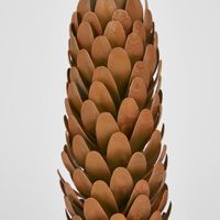 Pinecone Candle Stand 15cm