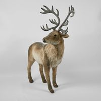 King Elk Standing