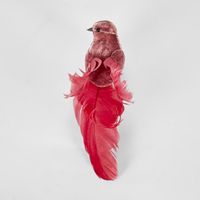 Delicia Clip on Bird Fuchsia (Set of 6)
