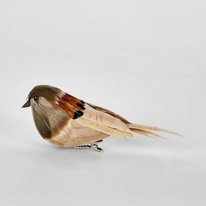 Lorri Clip on Bird Natural (Set of 6)