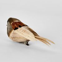 Lorri Clip on Bird Natural (Set of 6)