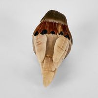 Lorri Clip on Bird Natural (Set of 6)