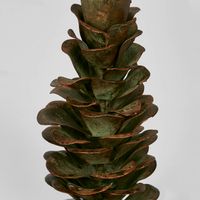 Pinecone Candle Stand SML