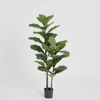 Fiddle Leaf Tree 1.13m
