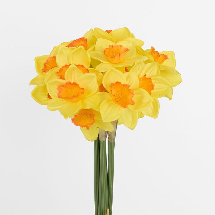 Daffodil Bouquet