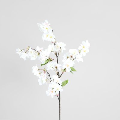 Cherry Blossom Stem White Pink
