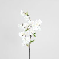 Cherry Blossom Stem White Pink