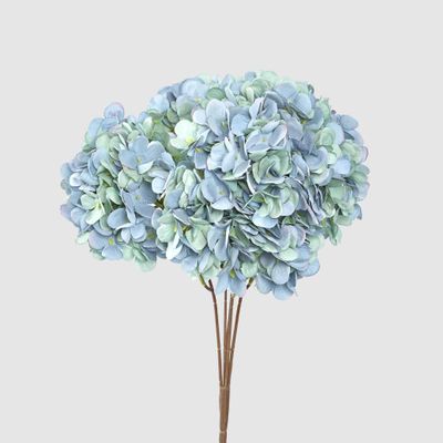 Hydrangea Bush Dark Blue