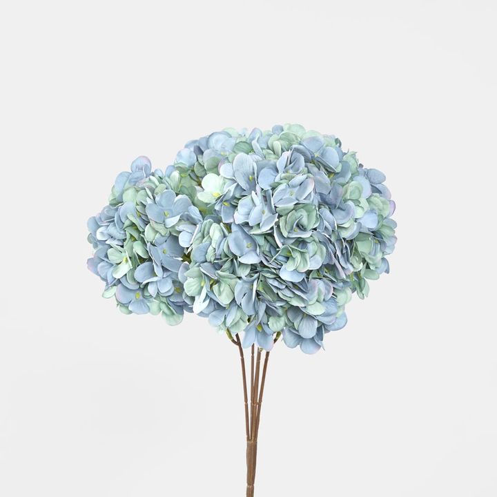 Hydrangea Bush Dark Blue