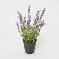 Potted Lavender 42cm