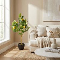 Lemon Tree 5 Fruits 70cm