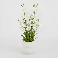 Real Touch Potted Cymbidium 90cm
