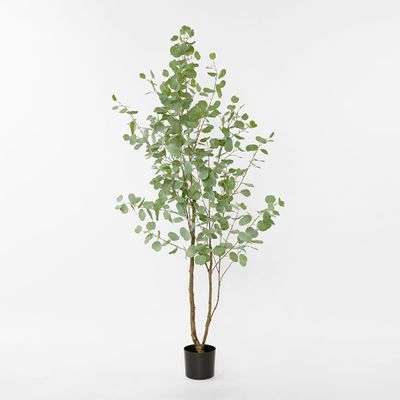 Real Touch Eucalyptus 200cm