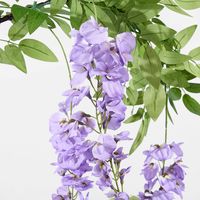 Lavender Wisteria by 3