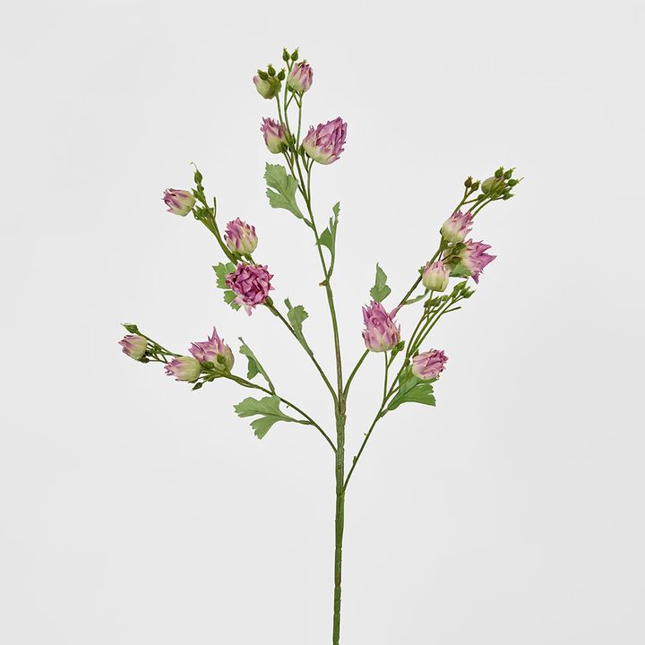 Blushing Bride Spray Purple