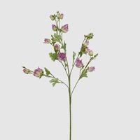 Blushing Bride Spray Purple