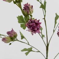 Blushing Bride Spray Purple