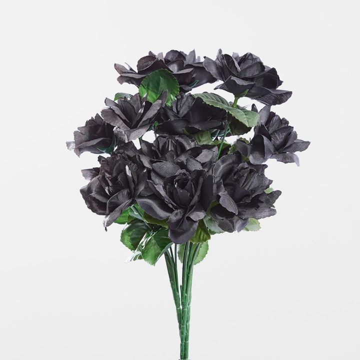 Rose Bush Sold in Box Qtys only