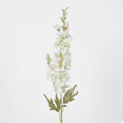 Delphinium 85cm White