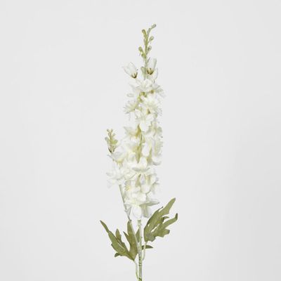 Light Lilac Purple Delphinium 60cm